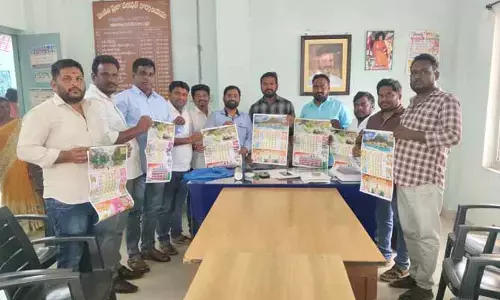 దిశ దినపత్రిక సమాజానికి సరైన దిశ: ఎంపీడీవో మహేష్