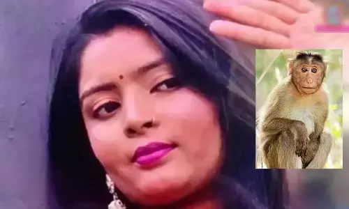 ‘కోతి’ అని సరదాగా పిలిచిన భర్త.. మోడల్ ఆత్మహత్య!