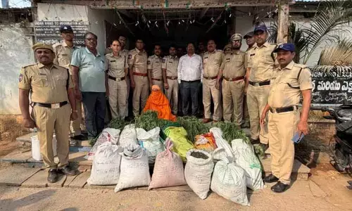 సాధువు ముసుగులో గంజాయి సాగు