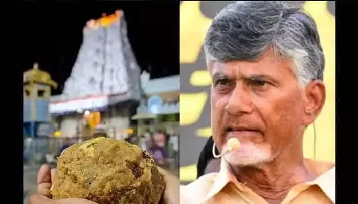శ్రీవారి లడ్డూ కల్తీ వ్యవహారంపై సిట్ సంచలన లేఖ.. ప్రభుత్వం సీరియస్ శ్రీవారి లడ్డూ కల్తీ వ్యవహారంపై సిట్ సంచలన లేఖ.. ప్రభుత్వం సీరియస్