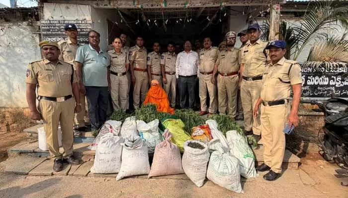 సాధువు ముసుగులో గంజాయి సాగు సాధువు ముసుగులో గంజాయి సాగు