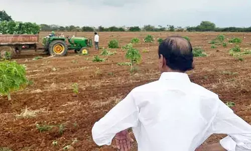సిట్ నోటీసుల వేళ హిమాన్షు ఆసక్తికర పోస్ట్.. పొలం పనుల్లో గులాబీ బాస్ బిజీబిజీ