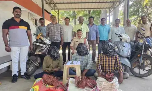 ట్రాన్స్ ఫార్మర్ల దొంగలు అరెస్టు