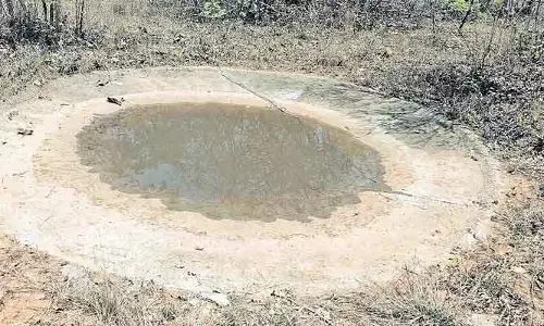నల్లమల అడవిలో దాహార్తి