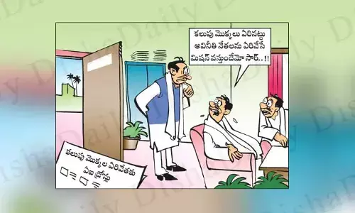 Disha Cartoon: అవినీతి లీడర్లను ఏరివేసే మిషన్ కూడా వస్తుందేమో సార్