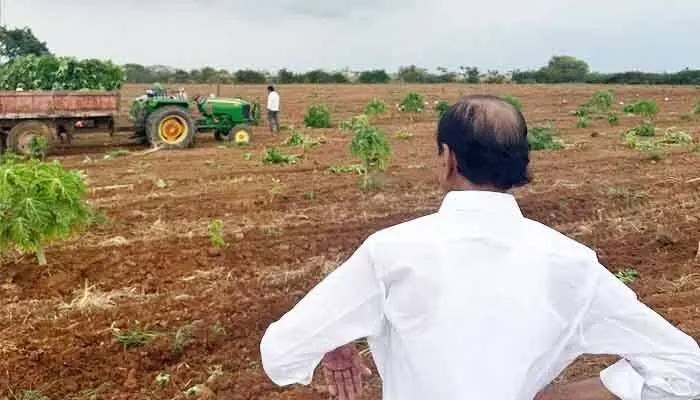 సిట్ నోటీసుల వేళ హిమాన్షు ఆసక్తికర పోస్ట్.. పొలం పనుల్లో గులాబీ బాస్ బిజీబిజీ సిట్ నోటీసుల వేళ హిమాన్షు ఆసక్తికర పోస్ట్.. పొలం పనుల్లో గులాబీ బాస్ బిజీబిజీ