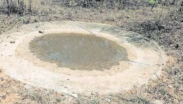 నల్లమల అడవిలో దాహార్తి నల్లమల అడవిలో దాహార్తి