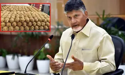 వేంకటేశ్వరస్వామితో పెట్టుకుంటే ఈ జన్మలోనే అనుభవిస్తారు : సీఎం చంద్రబాబు నాయుడు