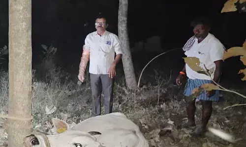 అత‌ను స‌ర్పంచ్.. మ‌రోవైపు డాక్ట‌ర్..!