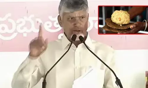 బాత్రూమ్ క్లీన్ చేసే కెమికల్స్‌తో తిరుమల లడ్డు : సీఎం చంద్రబాబు సంచలన వ్యాఖ్యలు