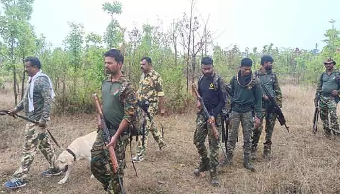 పొదెవాడ అభయారణ్యంలో కాల్పుల మోత.. ముగ్గురు మావోయిస్టులు మృతి పొదెవాడ అభయారణ్యంలో కాల్పుల మోత.. ముగ్గురు మావోయిస్టులు మృతి