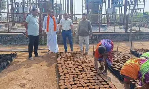 మాచ‌ర్ల‌లో న‌ర్స‌రీలు ఇందిర‌మ్మ ఇళ్ల ప‌రిశీల‌న
