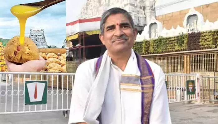 మట్టికొట్టుకుపోతారు.. మళ్లీ ఇలాంటివి చేయొద్దు: టీటీడీ మాజీ ఈవో హెచ్చరిక మట్టికొట్టుకుపోతారు.. మళ్లీ ఇలాంటివి చేయొద్దు: టీటీడీ మాజీ ఈవో హెచ్చరిక