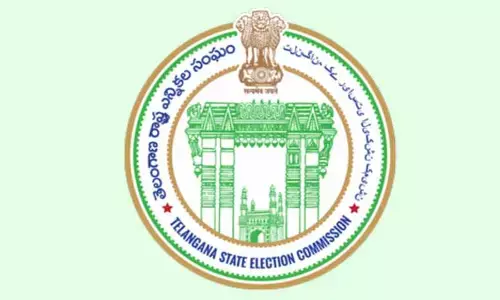 మున్సిపల్‌ ఎన్నికలకు నోడల్‌ అధికారుల నియామకం.. ఎస్ఈసీ ఉత్తర్వులు