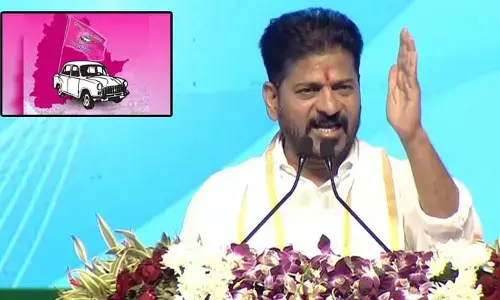 CM Revanth Reddy: బీఆర్ఎస్, కిషన్ రెడ్డికి కొత్త పేర్లు.. నిండు సభలో రేవంత్ రెడ్డి నామకరణం