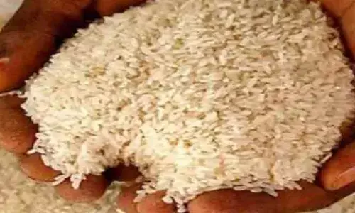 సప్పుడు లేకుండా సన్నబియ్యం దందా