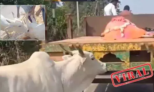 VIRAL: మాతృత్వానికి మరణం.. ప్రేమకు భాష లేదు! కన్నీళ్లు పెట్టిస్తున్న వీడియో
