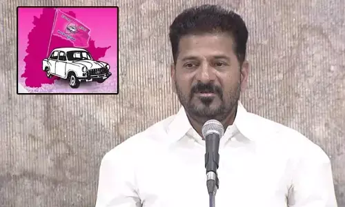 Revanth Reddy: బీఆర్ఎస్  అనే మొక్క మళ్లీ మొలవొద్దు: సీఎం రేవంత్ రెడ్డి
