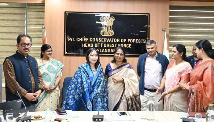 అరణ్య భవన్ను సందర్శించిన జపాన్ ప్రతినిధులు.. అటవీ శాఖ అభివృద్ధికి రుణ సహాయం అరణ్య భవన్ను సందర్శించిన జపాన్ ప్రతినిధులు.. అటవీ శాఖ అభివృద్ధికి రుణ సహాయం