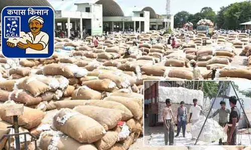 రాష్ట్రంలో పత్తి సేకరణ కంప్లీట్.. ఉత్పత్తిలో ఆదిలాబాద్ టాప్
