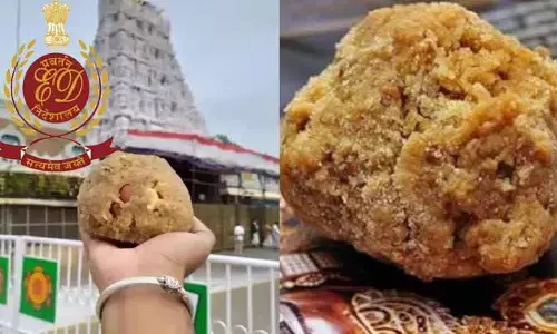 తిరుమల లడ్డూ కల్తీ నెయ్యి వ్యవహారం.. రంగంలోకి ఈడీ