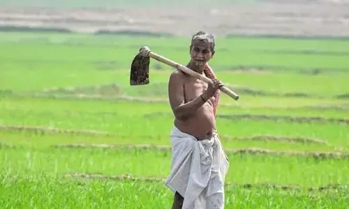 ఏపీ రైతులకు గుడ్ న్యూస్.. సేకరణ పరిమితి పెంపు!