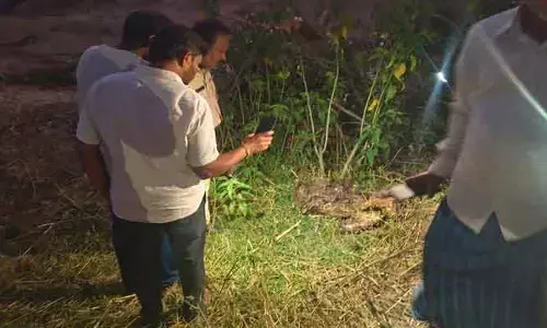 చందాపూర్ వాగు శివారులో మహిళా అస్తికలు గుర్తింపు