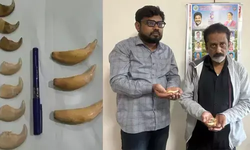 హైదరాబాద్‌లో షాకింగ్ రైడ్.. పులి దంతాలు, గోర్లు పట్టివేత, ఇద్దరు అరెస్ట్