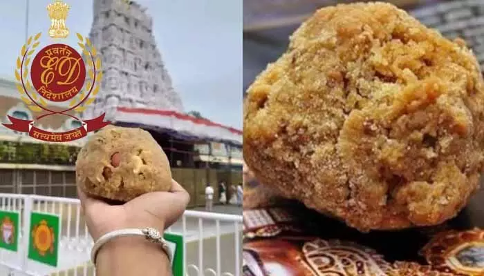 తిరుమల లడ్డూ కల్తీ నెయ్యి వ్యవహారం.. రంగంలోకి ఈడీ తిరుమల లడ్డూ కల్తీ నెయ్యి వ్యవహారం.. రంగంలోకి ఈడీ