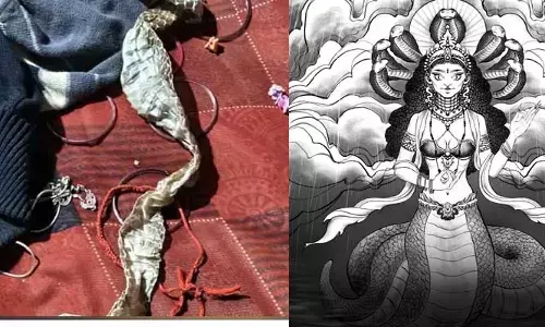 నాగుపాముగా మారిన యువతి.. పోలీసుల విచారణలో షాకింగ్ నిజాలు
