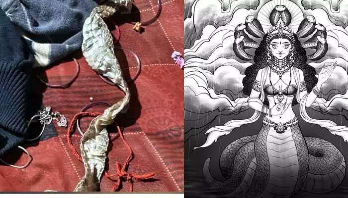 నాగుపాముగా మారిన యువతి.. పోలీసుల విచారణలో షాకింగ్ నిజాలు నాగుపాముగా మారిన యువతి.. పోలీసుల విచారణలో షాకింగ్ నిజాలు