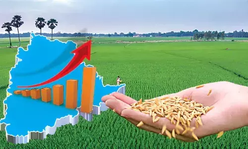 వ్యవసాయ రంగానికి నవశకం!