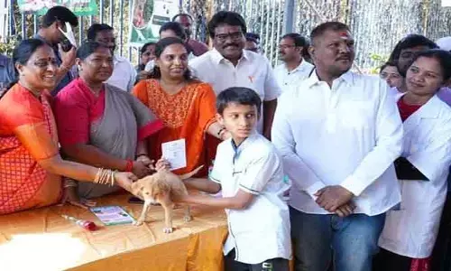 అహింసా సందేశంతో స్ట్రే డాగ్ అడాప్షన్