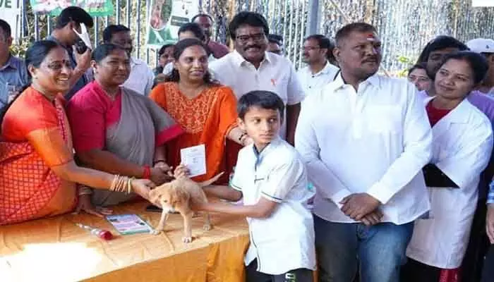 అహింసా సందేశంతో స్ట్రే డాగ్ అడాప్షన్ అహింసా సందేశంతో స్ట్రే డాగ్ అడాప్షన్
