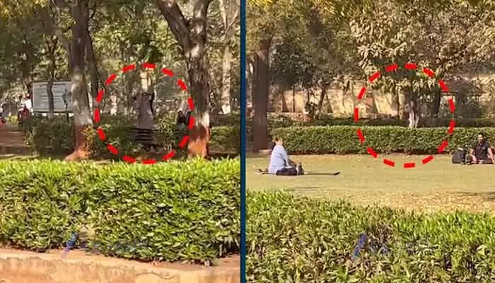 Valentines Day: పార్కుల్లో ప్రేమికులను పరిగెత్తించిన వీహెచ్పీ, భజరంగ్ దళ్ Valentines Day: పార్కుల్లో ప్రేమికులను పరిగెత్తించిన వీహెచ్పీ, భజరంగ్ దళ్