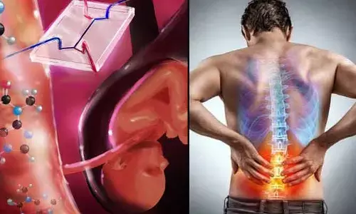 Health : ప్లాసెంటా నుంచి తీసిన ప్రోటీన్‌.. స్పైనల్ ఆరోగ్యాన్ని మెరుగు పర్చడంలో కీ రోల్ !