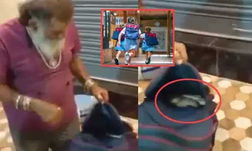 బాబోయ్ స్కూల్ బ్యాగులో బుస.. మూడో తరగతి బాలిక పుస్తకాల మధ్య భారీ నాగుపాము