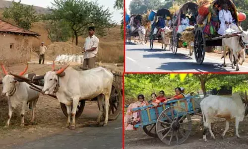ఎడ్లబండి ఎటువాయెనో..! పల్లెచుట్టూ అల్లుకుపోయిన 90s కిడ్స్ జ్ఞాపకాలు
