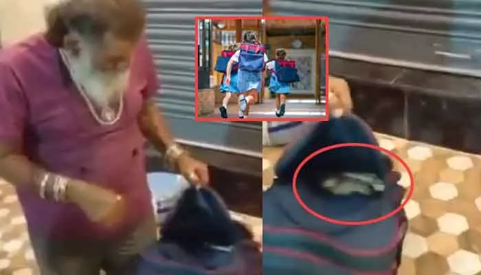 బాబోయ్ స్కూల్ బ్యాగులో బుస.. మూడో తరగతి బాలిక పుస్తకాల మధ్య భారీ నాగుపాము బాబోయ్ స్కూల్ బ్యాగులో బుస.. మూడో తరగతి బాలిక పుస్తకాల మధ్య భారీ నాగుపాము