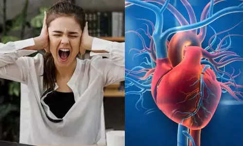 కేవలం 8 నిమిషాల కోపం.. స్ట్రోక్, హార్ట్ ఎటాక్ రిస్క్‌ను పెంచుతుందా?