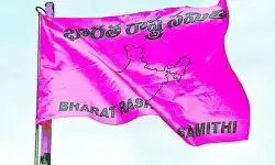 భర్తీ కాని నాగర్‌కర్నూల్, గద్వాల జిల్లా అధ్యక్ష స్థానాలు