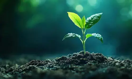 నేను మరణిస్తే..