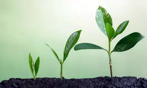 నేను మరణిస్తే.....బూడిదనై