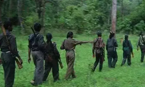 Maoists: దేశవ్యాప్తంగా ఇంకా మిగిలింది 300 మంది మావోయిస్టులే: సీఆర్‍పీఎఫ్