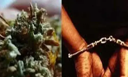 గంజాయి స్మగ్లర్లకు 20 ఏళ్ల జైలు శిక్ష‌