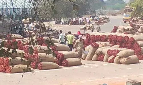 వరంగల్ మార్కెట్ లో నిలకడగా మిర్చీ ధర
