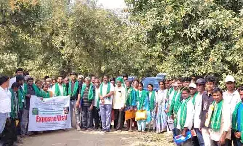 కుంకుడు కాయ రైతుల‌కు స్థిర‌మైన ఆదాయం