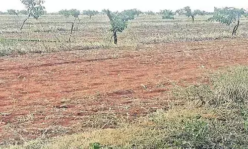 రియల్ మాఫియా.. నమ్మి కొన్నారో, నట్టేట్లో మునిగినట్లే