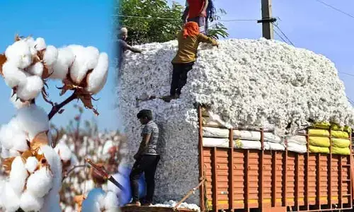 TG: పత్తి రైతులకు గుడ్ న్యూస్.. ఈ నెలాఖరు వరకు అవకాశం