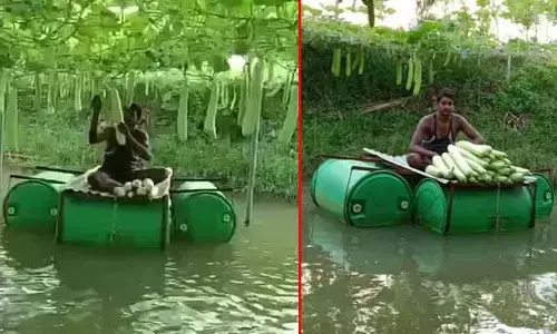 Viral : చెరువులో చేపలు.. పైన సొరకాయలు.. ఐడియా అదిరింది గురూ!